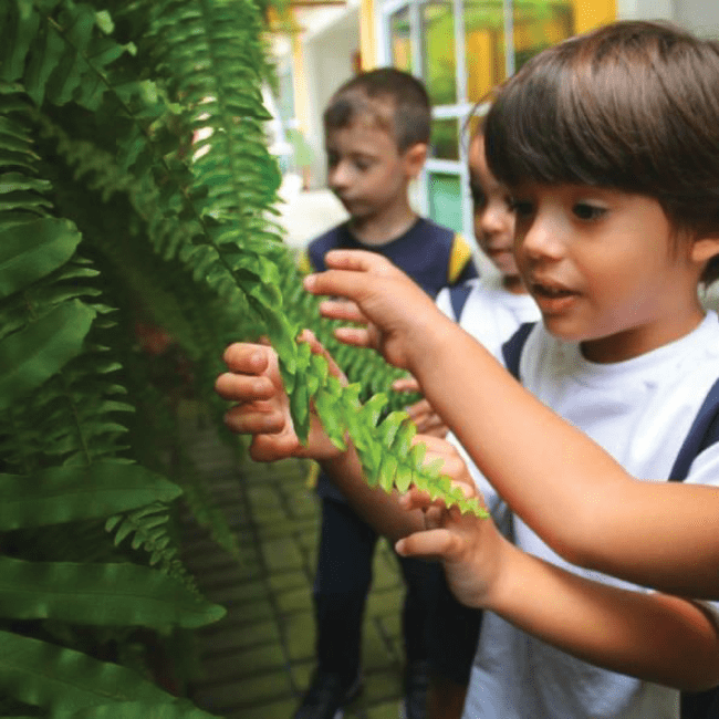 Aprendizado pela Ação e Experimentação | Educação Infantil