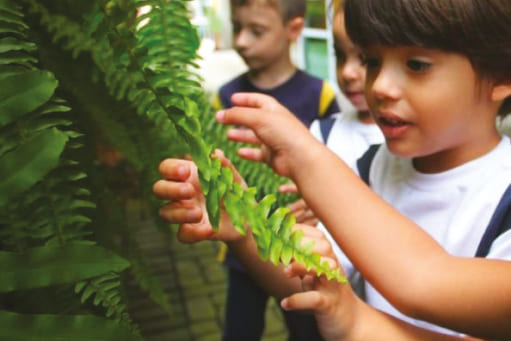 Saídas de Estudos e Vivências Extraescolares | Colégio Objetivo