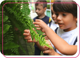 Educação Ambiental | Objetivo Kids